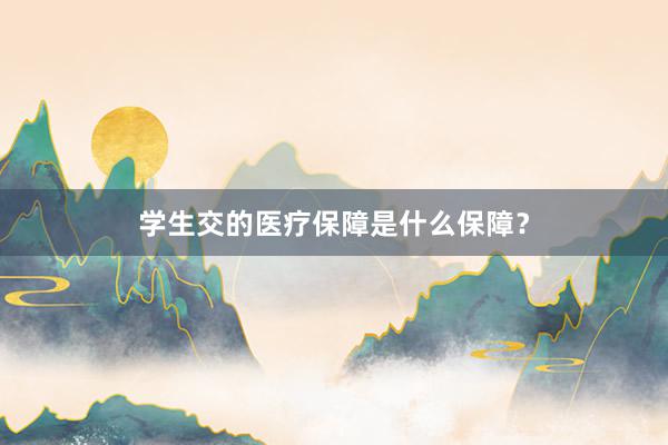 学生交的医疗保障是什么保障？